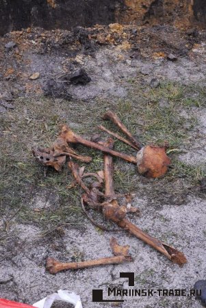 Во время коммунальных работ в Белове обнаружено захоронение 18 века