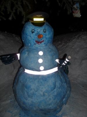 В Кузбассе стартовал областной фотофестиваль «Светлячок-снеговичок»