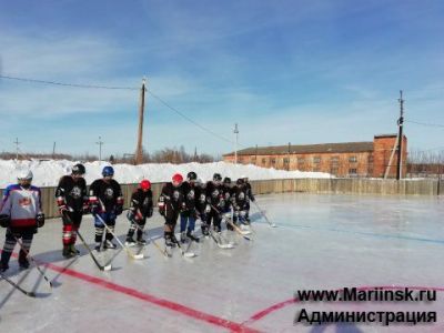 Детский турнир по хоккею с шайбой, посвященный Дню защитника Отечества