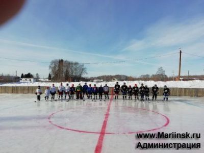 Детский турнир по хоккею с шайбой, посвященный Дню защитника Отечества