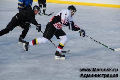 Турнир по хоккею с шайбой среди мужских команд посвященный Дню защитника Отечества