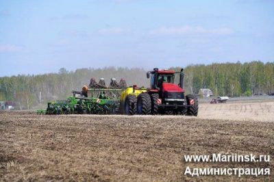 Аграриям КуZбасса в этом сезоне направлено 234,6 млн рублей господдержки