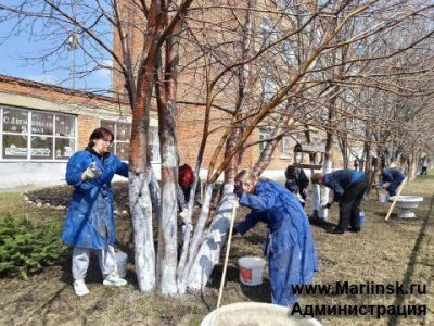 Более 30 тысяч кузбассовцев приняли участие в волонтерской акции «Весенняя неделя добра»