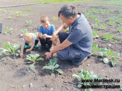 В КуZбассе стартовала программа «Семейное агропредпринимательство»