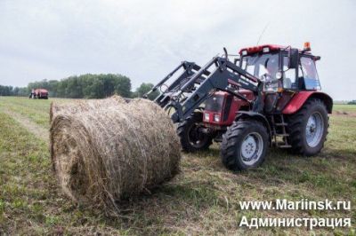 Кормозаготовка в Кузбассе идет в соответствии с планом