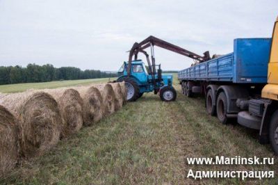 Кормозаготовка в Кузбассе идет в соответствии с планом