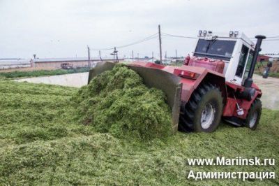 Кормозаготовка в Кузбассе идет в соответствии с планом