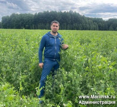 В Кузбассе две семейные фермы получат грантовую поддержку на развитие производства