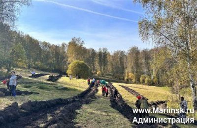 В Кузбассе высадят 2,5 млн деревьев в рамках Всероссийской акции «Сохраним лес»