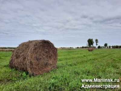 Кузбасские аграрии намолотили более 1 млн тонн зерна