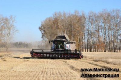 Кузбасские аграрии намолотили более 1 млн тонн зерна