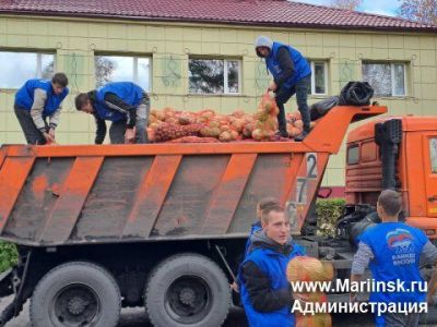 В Кузбассе 9 326 семей получили бесплатные овощные наборы